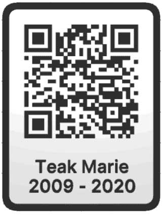 3D Qr Codes