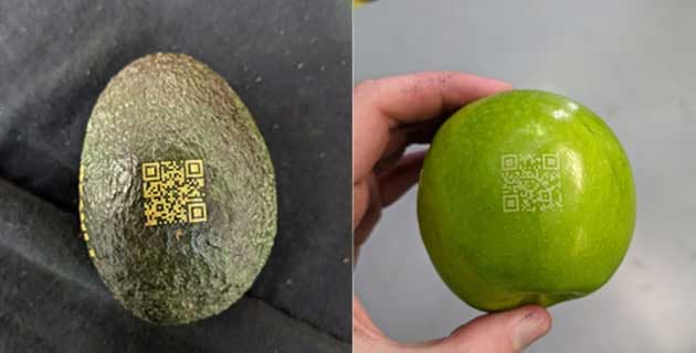 QR Code Natural Branding